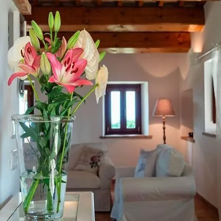 Daire Stunning In Near Metauro River *